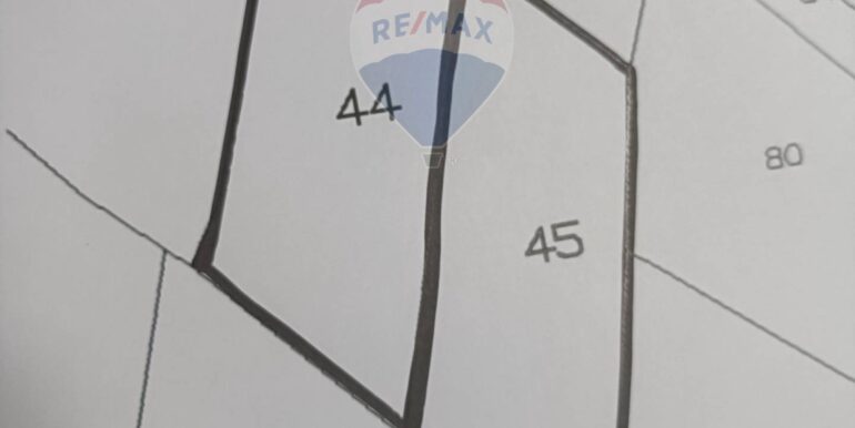 2025101393338-989062-4