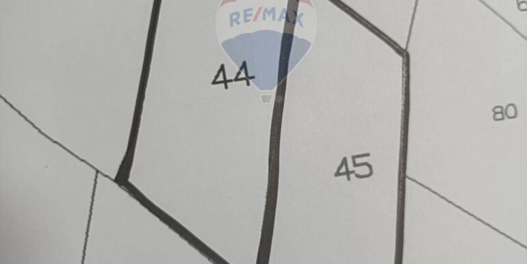 2025101393343-989062-5