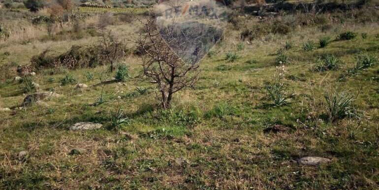 20251016103620-993235-2