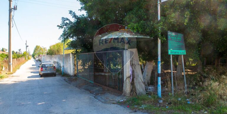 20251016164838-993466-2