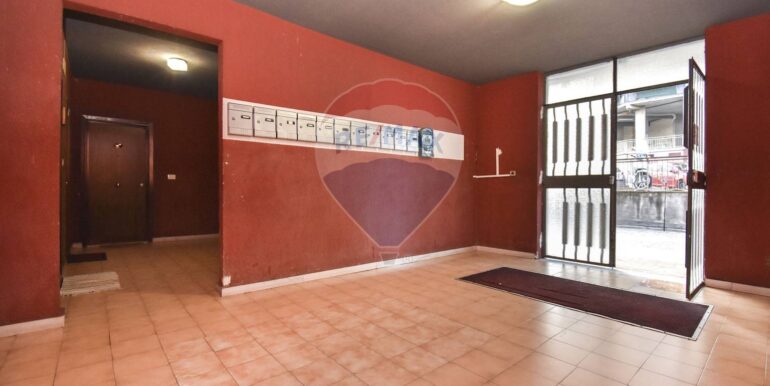 20251017170141-994303-5