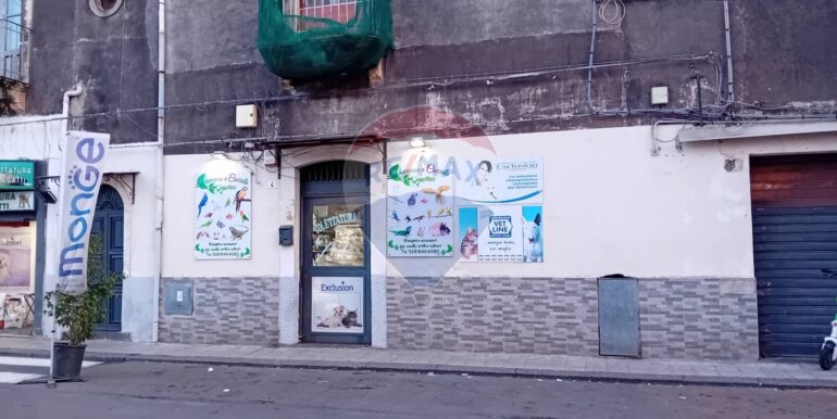 20251019195941-994439-1