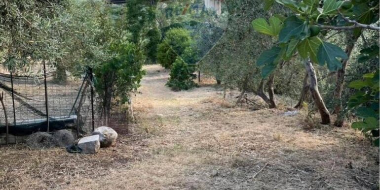 20251021190651-995268-0