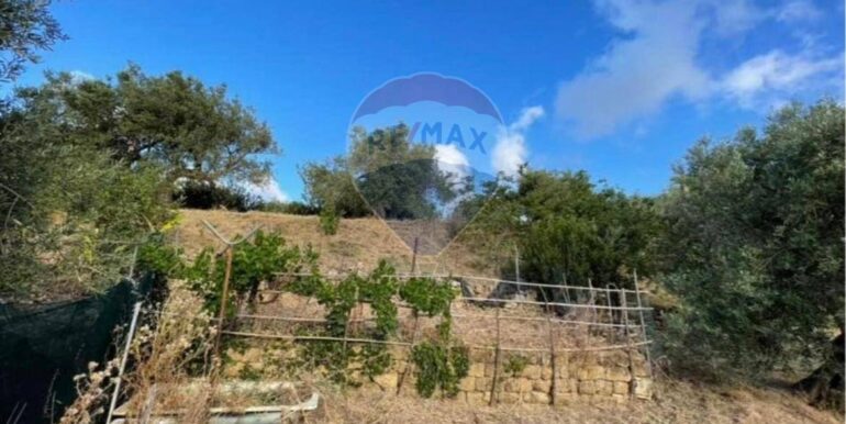 20251021190652-995268-2