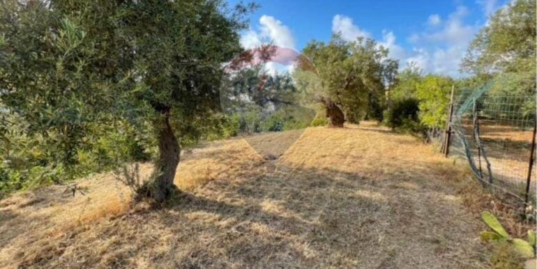 20251021190652-995268-4