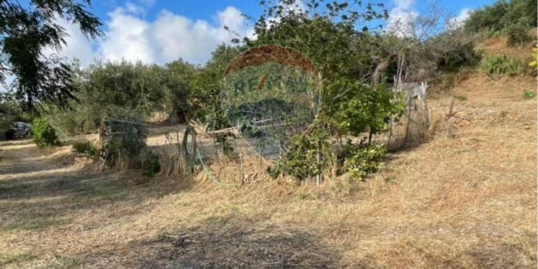 20251021190652-995268-5