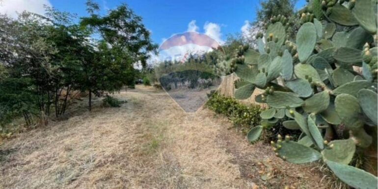 20251021190652-995268-6