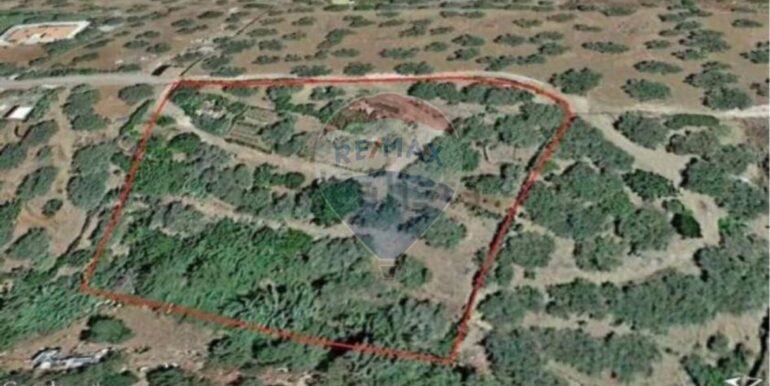 20251021190652-995268-8