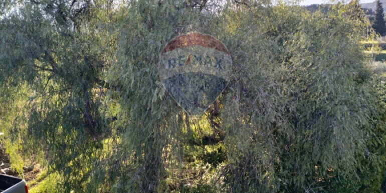 2025102294305-995293-2