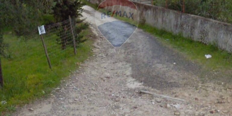 2025102294305-995293-3