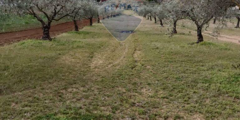 2025102294306-995293-7