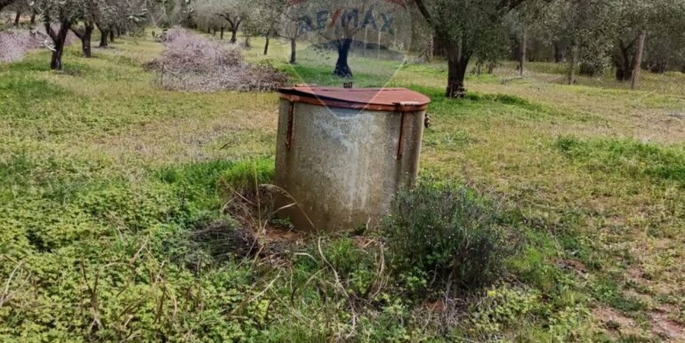 2025102294306-995293-9