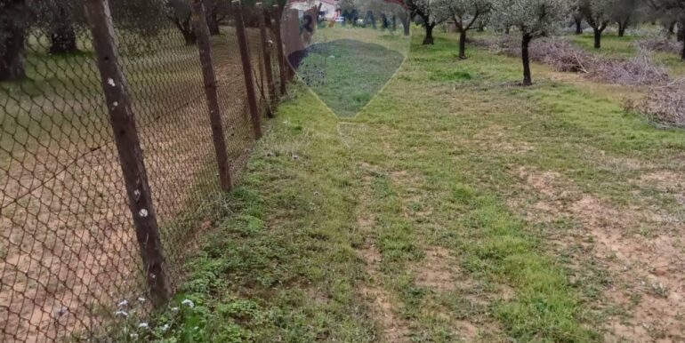 2025102294307-995293-12