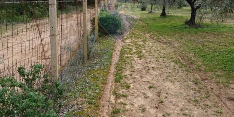 2025102294308-995293-13