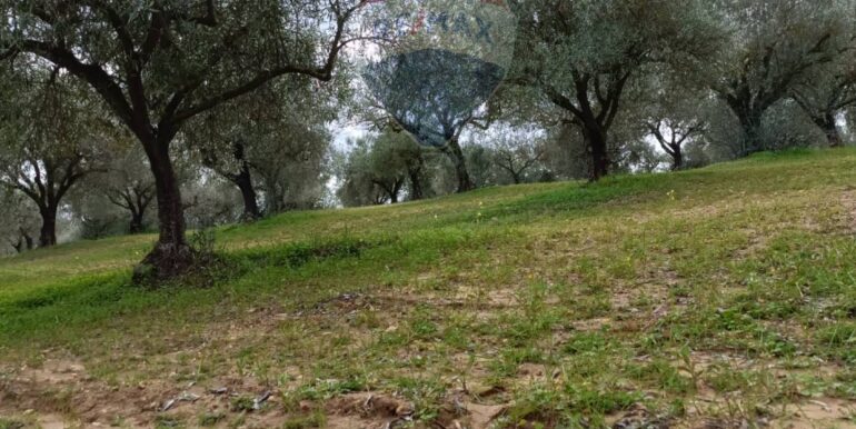 2025102294308-995293-14