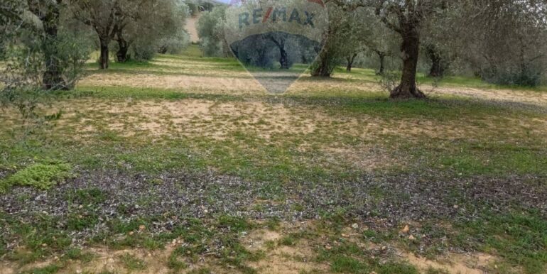 2025102294308-995293-15