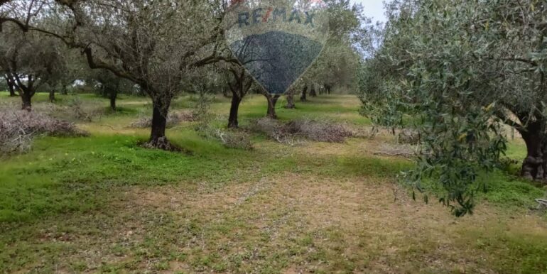 2025102294309-995293-17