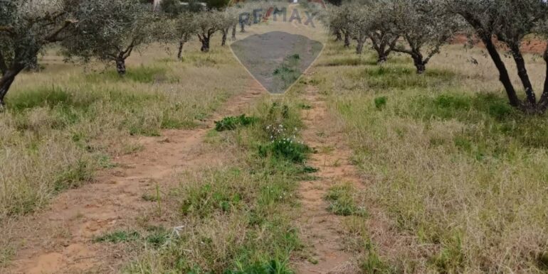 2025102294309-995293-18