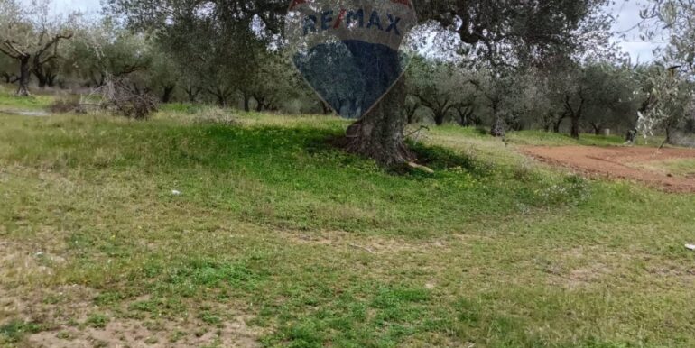 2025102294309-995293-19