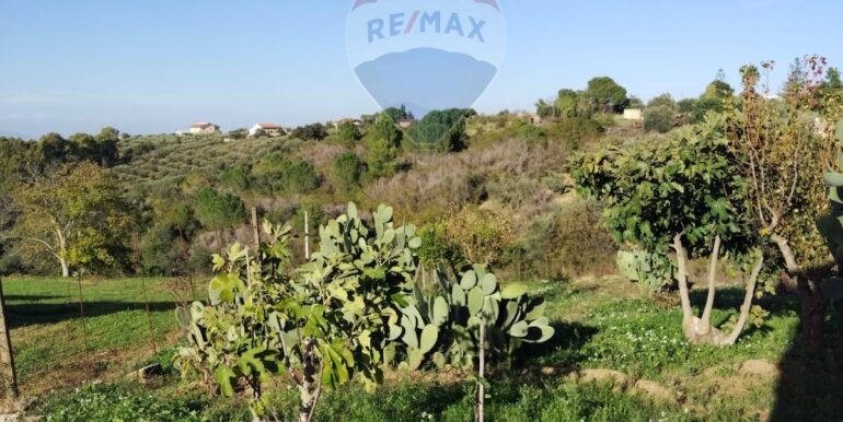 20251025171153-996082-15