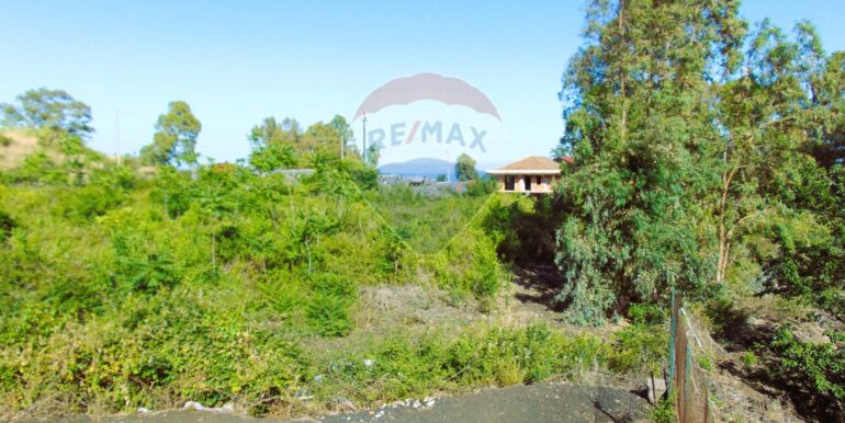 20251028113807-996524-0