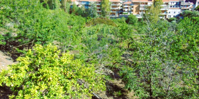 20251028113809-996524-4