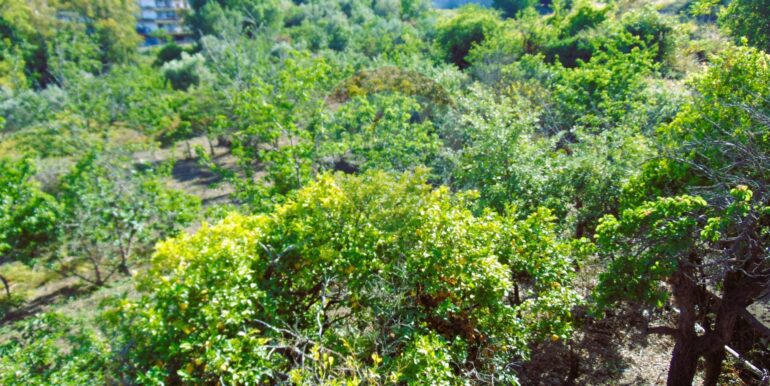 20251028113809-996524-5