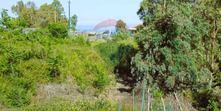 20251028113810-996524-6