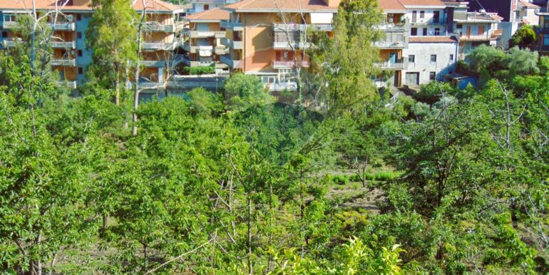 20251028113810-996524-7