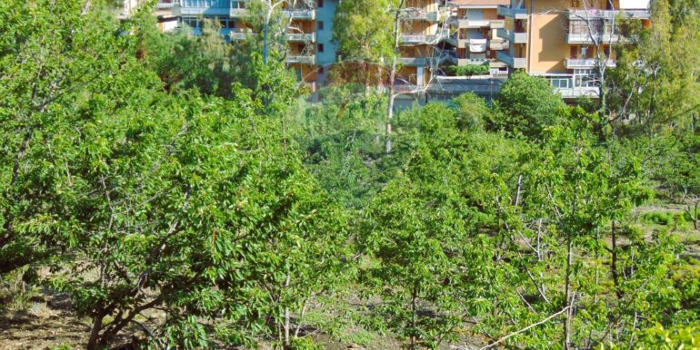 20251028113811-996524-8