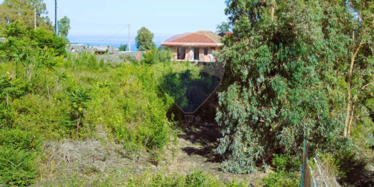 20251028113811-996524-9