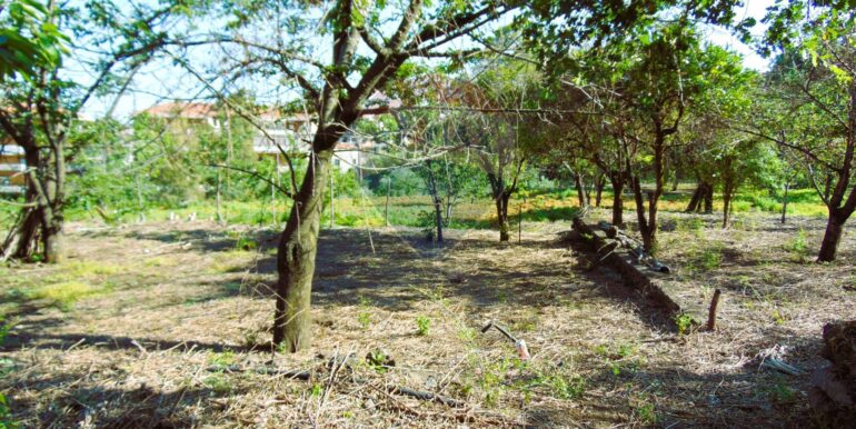 20251028113812-996524-11