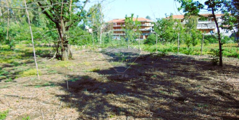 20251028113812-996524-12