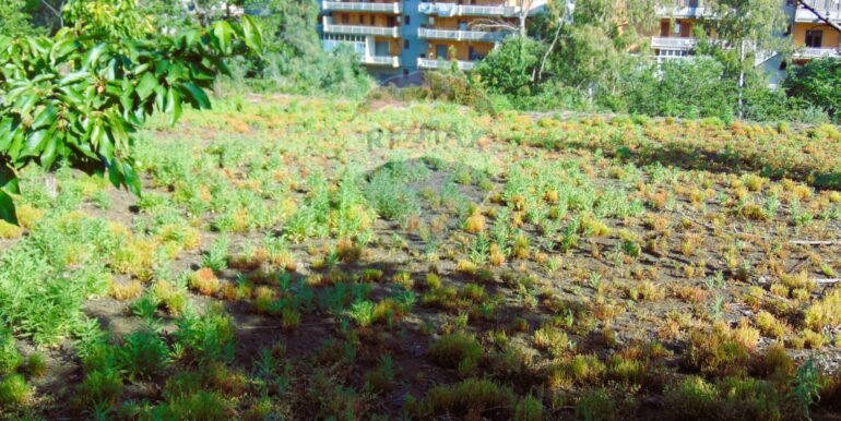 20251028113813-996524-13