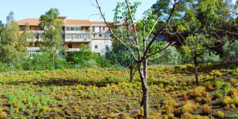 20251028113813-996524-14