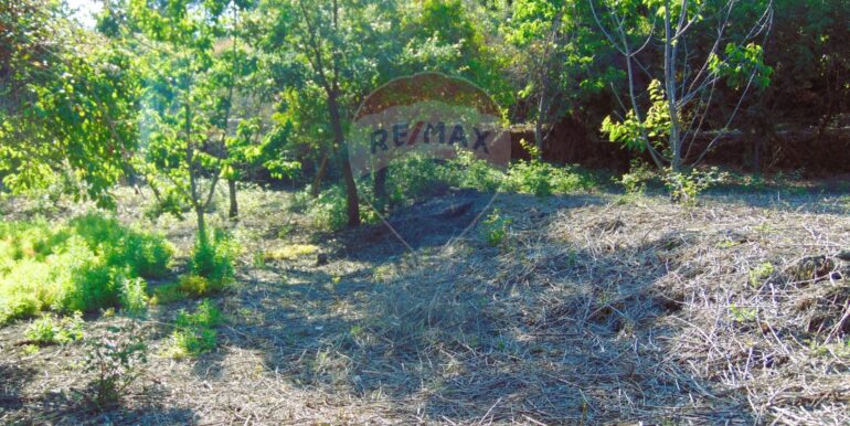 20251028113814-996524-15