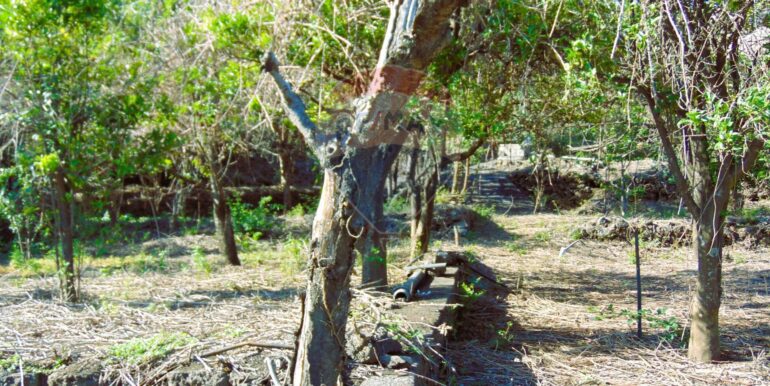 20251028113814-996524-16