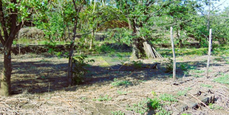 20251028113814-996524-17