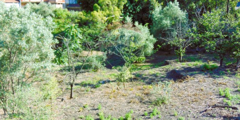 20251028113815-996524-18