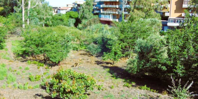 20251028113816-996524-19