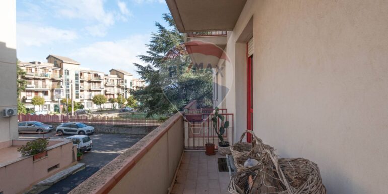 20240129113332-825697-5