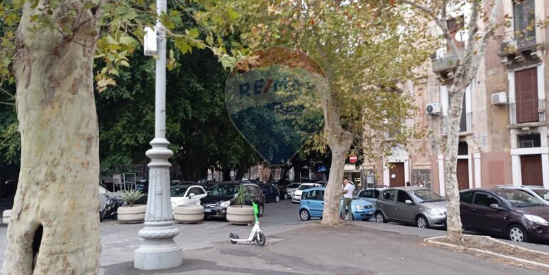 20240930162030-892641-4