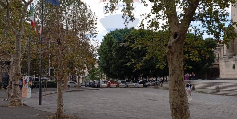 20240930162035-892641-6