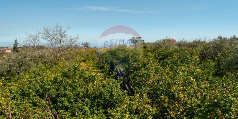 20241230183151-914866-2