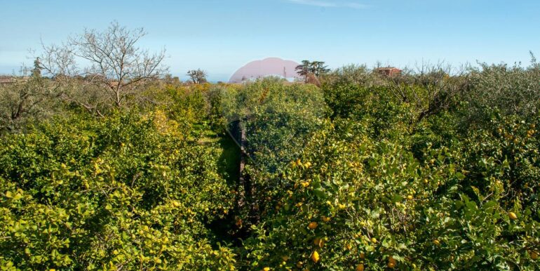 20241230183157-914866-4