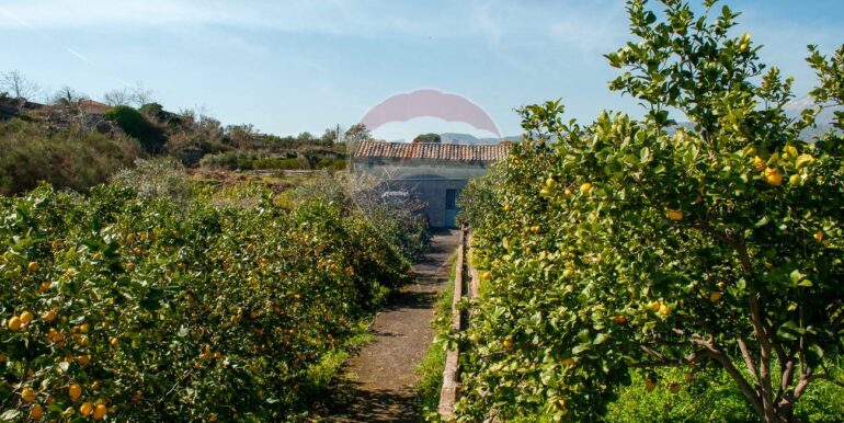 20241230183200-914866-5