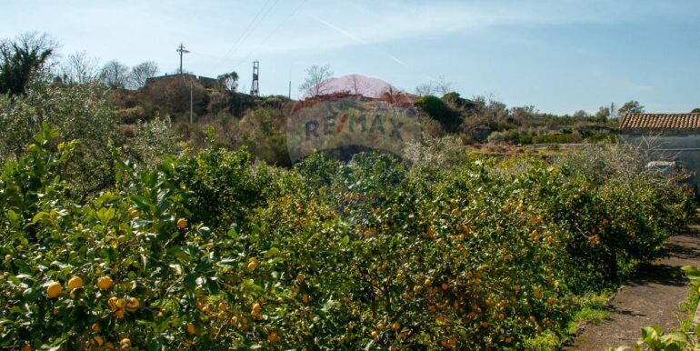 20241230183203-914866-6