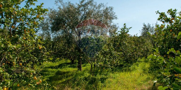 20241230183206-914866-7