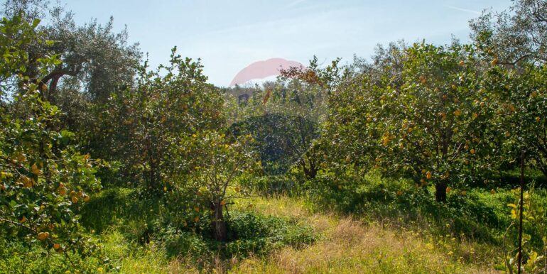 20241230183210-914866-8