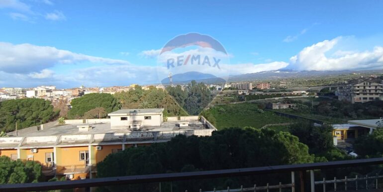 2025010885424-917770-8